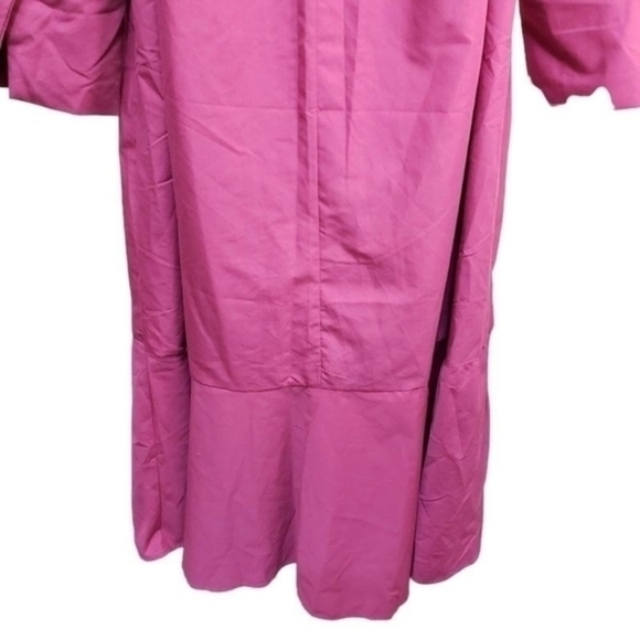 Shein Lantern Sleeve Asymmetrical Ruffle Hem Half Button Placket Dress - Picture 13 of 14